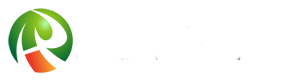 我的网站